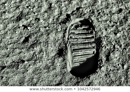 Stock foto: Steps To The Moon