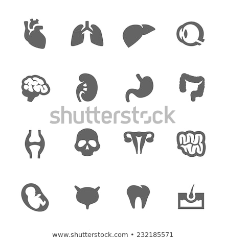 Foto stock: Vector Button Or Icon Of A Human Heart