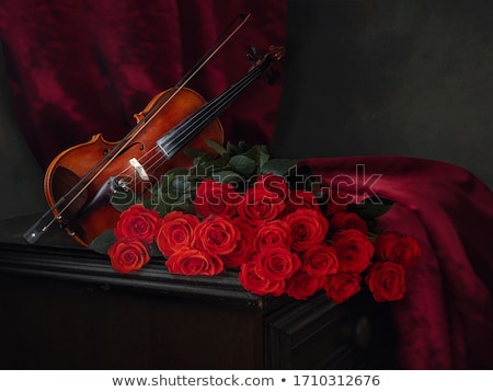 Foto stock: Violin And Rose