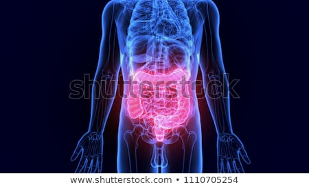 Stockfoto: 3d Rendered Illustration Of The Male Colon