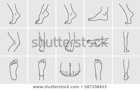 Stock fotó: Foot Care Set