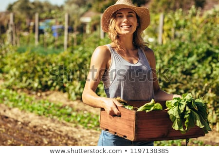 Stock photo: Woman Working On Allotment