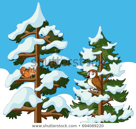 Foto stock: Owls In Winter Landscape