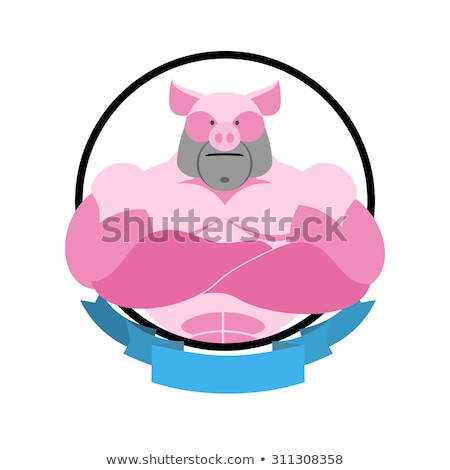 Stock fotó: Angry Pig Round Emblem Big Boar Bodybuilder Vector Logo Farm A