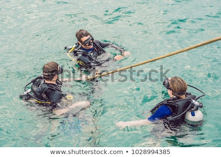 Foto stock: Divers On The Surface Of Water Ready To Dive