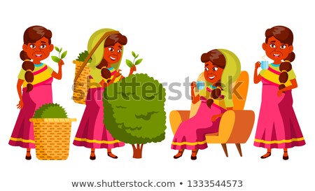 Foto stock: Indian Old Woman Poses Set Vector Elderly People Gathering Tea Production Natural Delicious Be