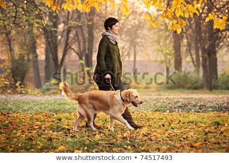 Stock photo: Woman Walking Dog Outdoors In Autumn Park