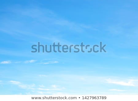 Zdjęcia stock: Blue Sky And Leaf