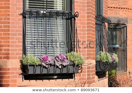 Stockfoto: Victorian Window Bars