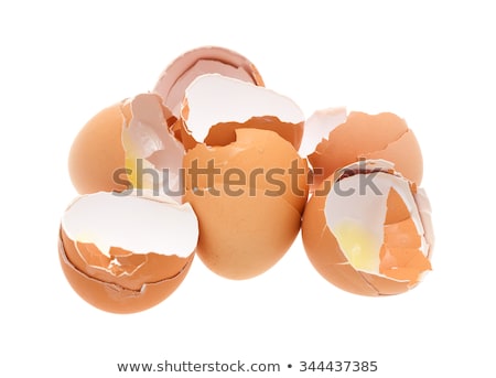 Zdjęcia stock: Broken Empty Brown Eggshell