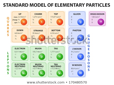 Zdjęcia stock: Standard Model Of Elementary Particles