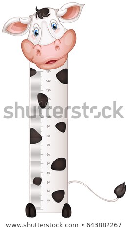 Stock photo: Measuring Height Scales On Paper With Cow