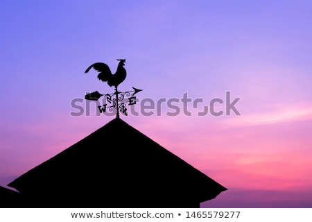 [[stock_photo]]: Weather Vane On Top Of An Old Building