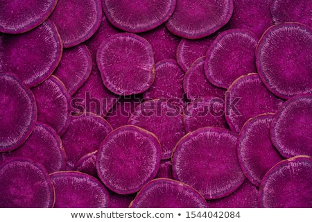 Stok fotoğraf: Purple Ipomoea