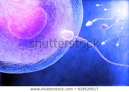 Stock fotó: Illustration Of Egg And Sperm