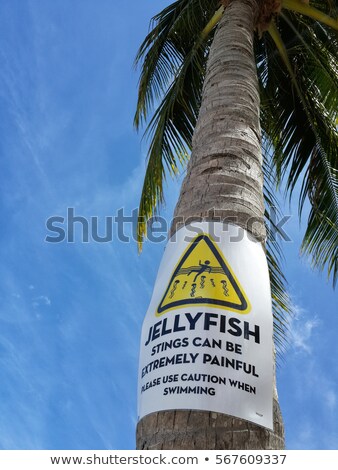 Stock fotó: Pain Inscription On Warning Road Sign