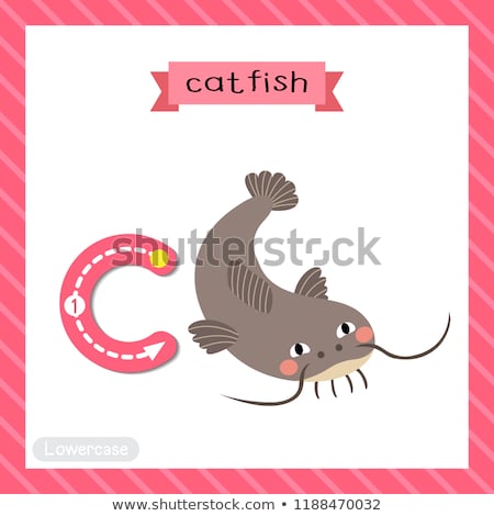 Zdjęcia stock: Flashcard Letter C Is For Cat