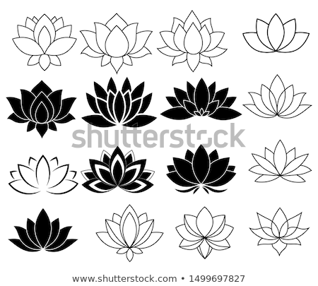 Stock photo: Blooming Lotus
