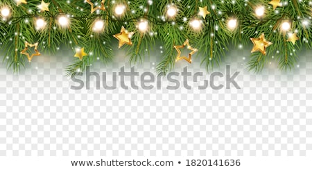 Foto stock: Fir Branches With Stars