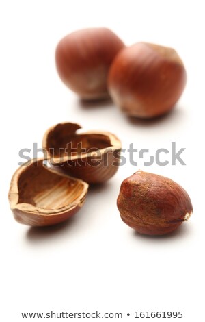 Foto stock: Empty Hazelnut Shells