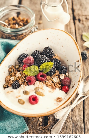 Stockfoto: Muesli With Yogurt And Fresh Fruit