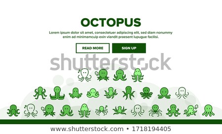 Foto stock: Marine Creatures Clam And Octopus Landing Page