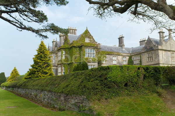 Muckross estate Stock photo © t3mujin