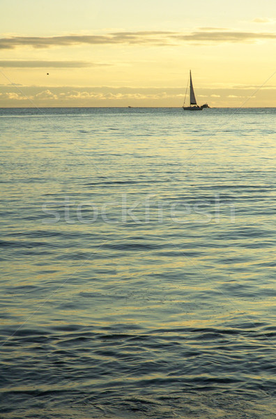 Sail at horizon Stock photo © t3mujin