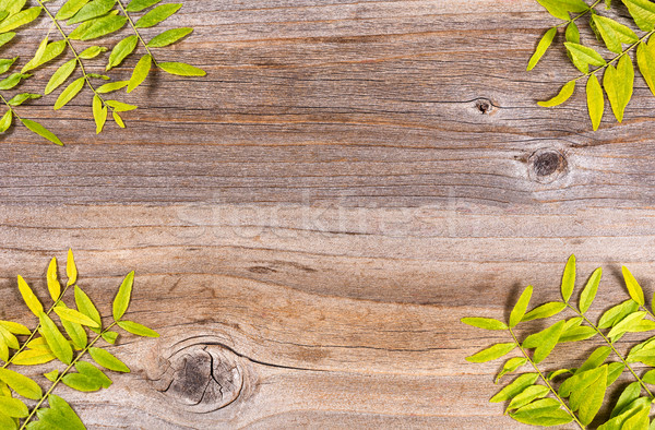 Mic frunze colturi rustic Imagine de stoc © tab62