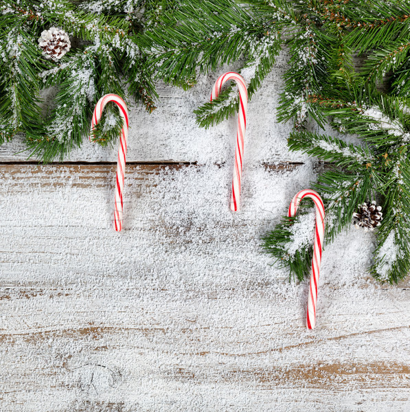Snowy Christmas fir branches and candy canes on rustic white woo Stock photo © tab62