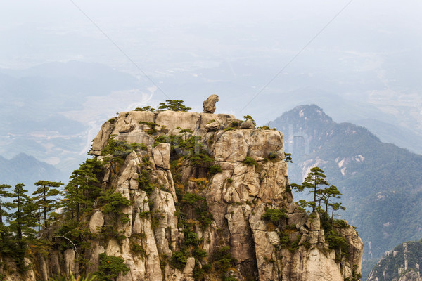Natural Monkey Stone Statue in Yellow Mountains  Stock photo © tab62