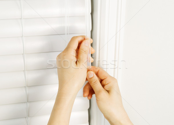 Adjusting Windows Blinds with Wand  Stock photo © tab62