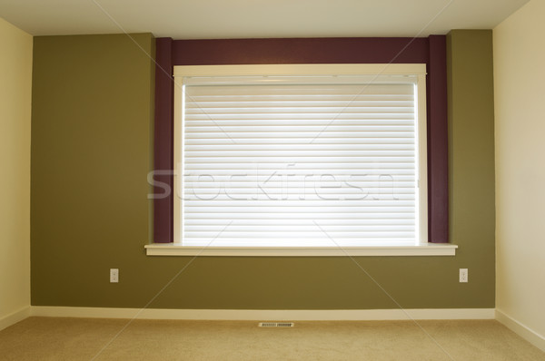 Freshly painted Accent Wall in Home  Stock photo © tab62
