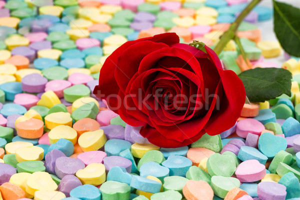 Single freshly cut red rose on colorful heart shaped candies Stock photo © tab62