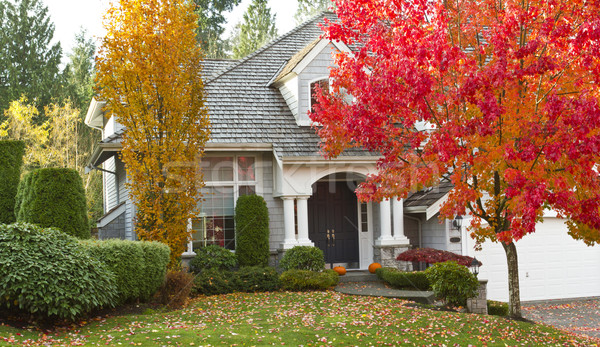 Stock foto: Wohn- · home · Herbstsaison · erschossen · städtischen · modernen