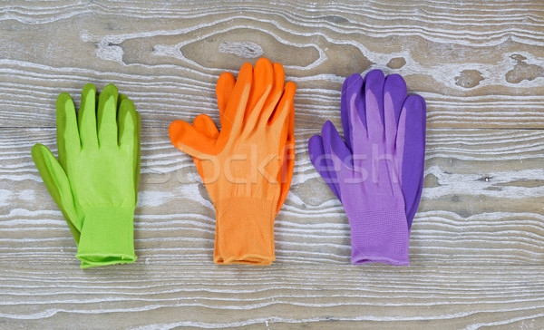 Pairs of Garden Gloves on Rustic Wood  Stock photo © tab62