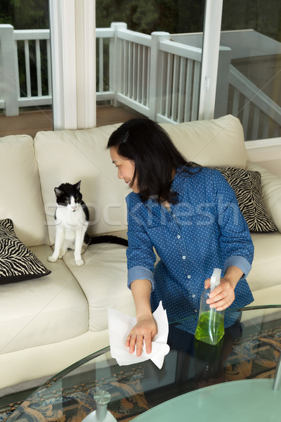 Mature woman smiling at her cat while cleaning the family room t Stock photo © tab62