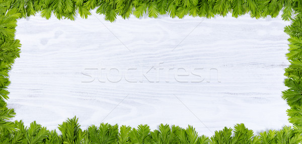 New fir tree branch tips on white wood for the annual holidays Stock photo © tab62