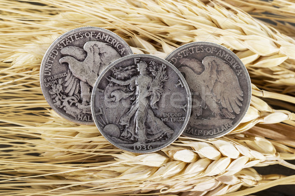 Silver Half Dollars on Wheat Stalk  Stock photo © tab62