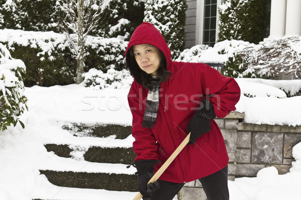 Stock photo: Cleaning Up after the Snow Strom