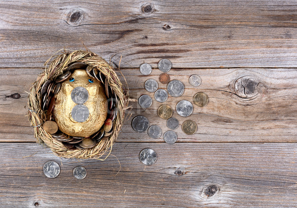 гнезда яйцо Piggy Bank монеты деньги будущем Сток-фото © tab62