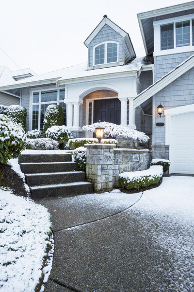 Schnee führend home vertikalen Foto Seite Stock foto © tab62