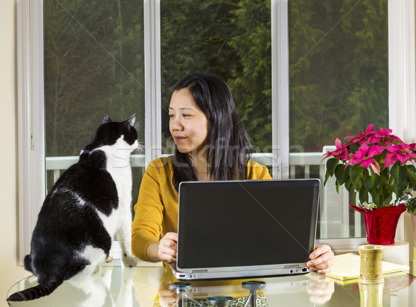 Mature woman working at home wth family cat looking at her  Stock photo © tab62