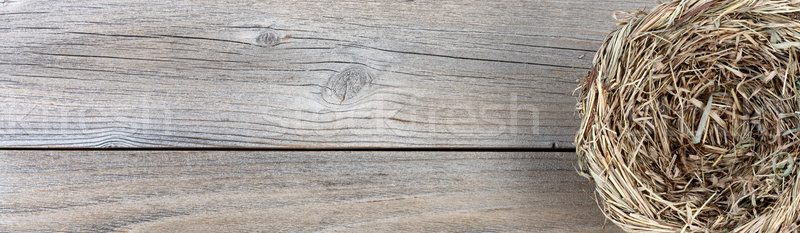 Natural bird nest on weathered wooden boards  Stock photo © tab62
