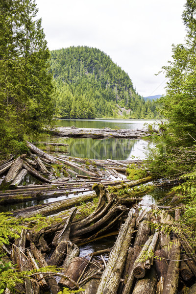 Mountain Lake in Washington State  Stock photo © tab62