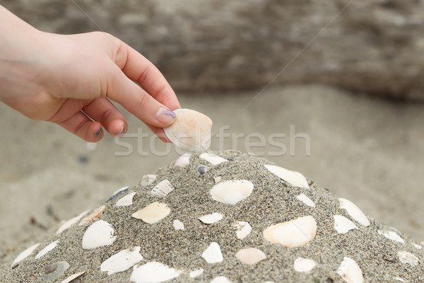 Building a Seashell Collection on the beach  Stock photo © tab62