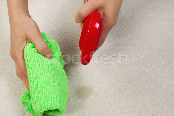 Cleaning Stain in Carpet  Stock photo © tab62