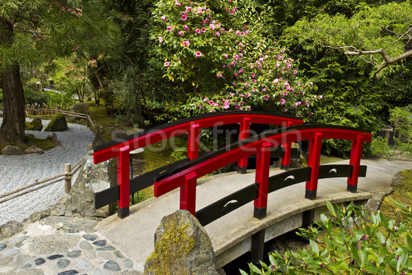 Japanese Garden with Red Bridge  Stock photo © tab62