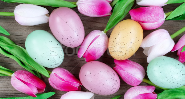 Filled frame Easter background consisting of tulips and eggs on  Stock photo © tab62