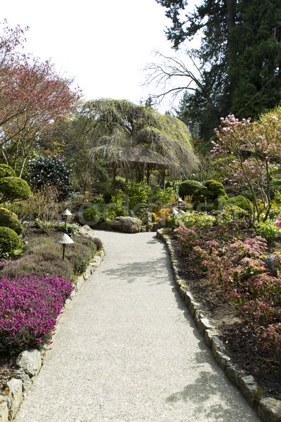 Trail to Hut in Japanese Garden Stock photo © tab62